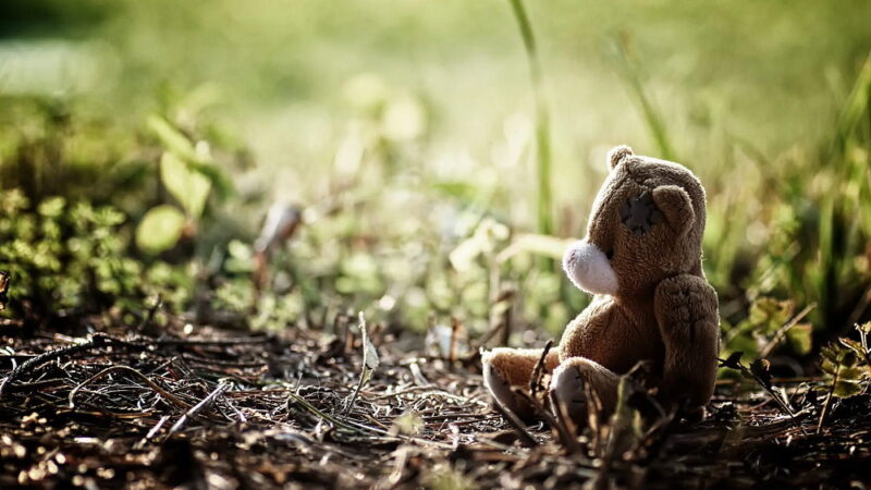 National Missing Children’s Day - May 25