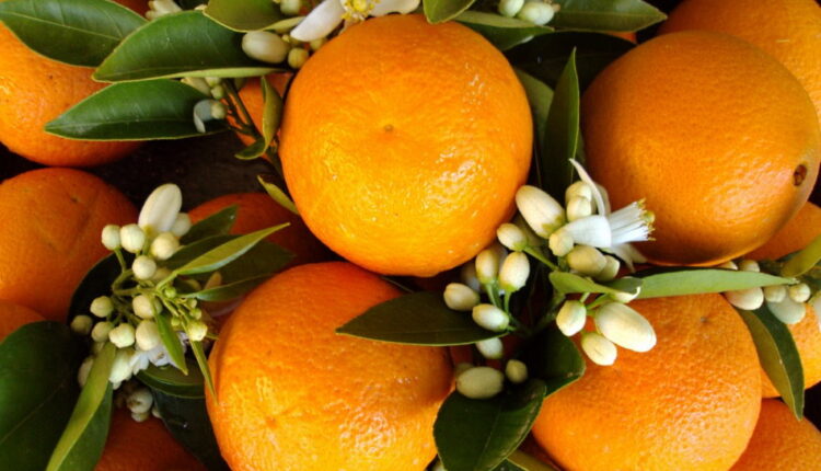 National Orange Blossom Day - June 27