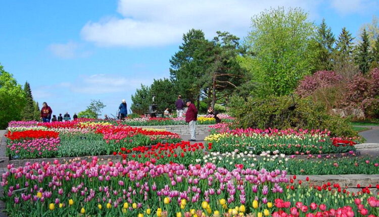 National Public Gardens Day - May