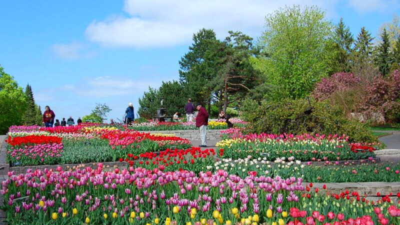 National Public Gardens Day - May