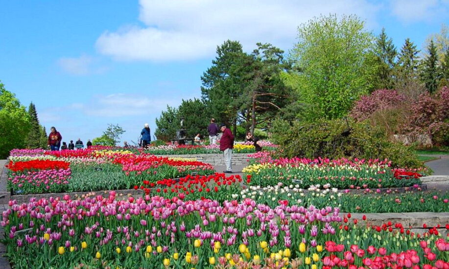 National Public Gardens Day Weird and Crazy Holidays