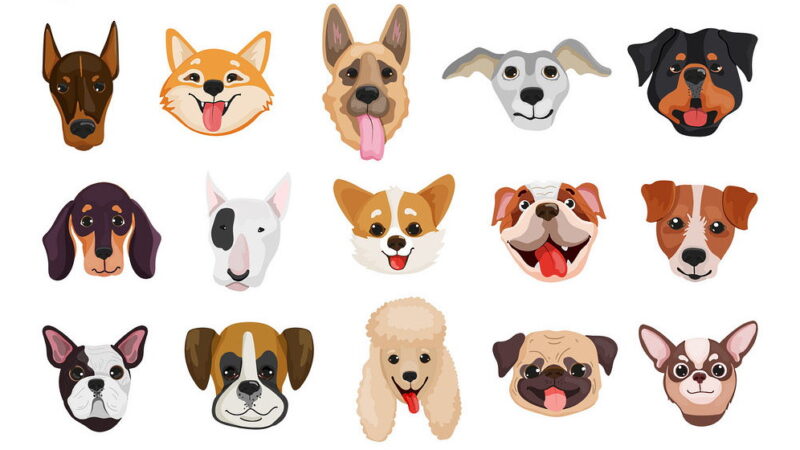 National Purebred Dog Day