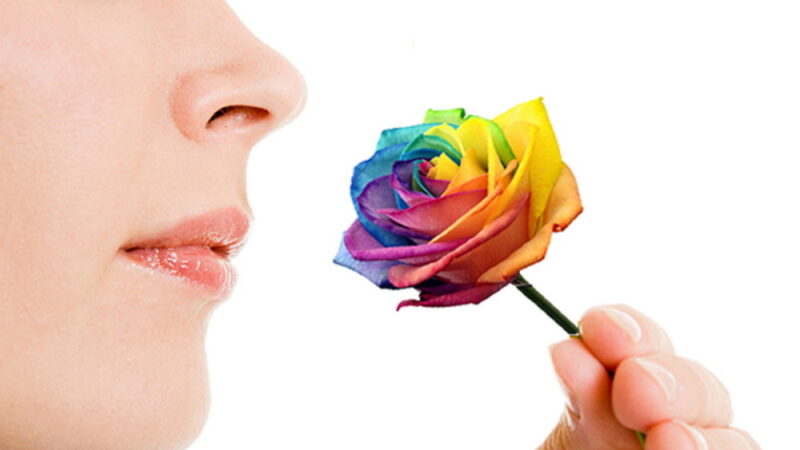 National Sense of Smell Day - April