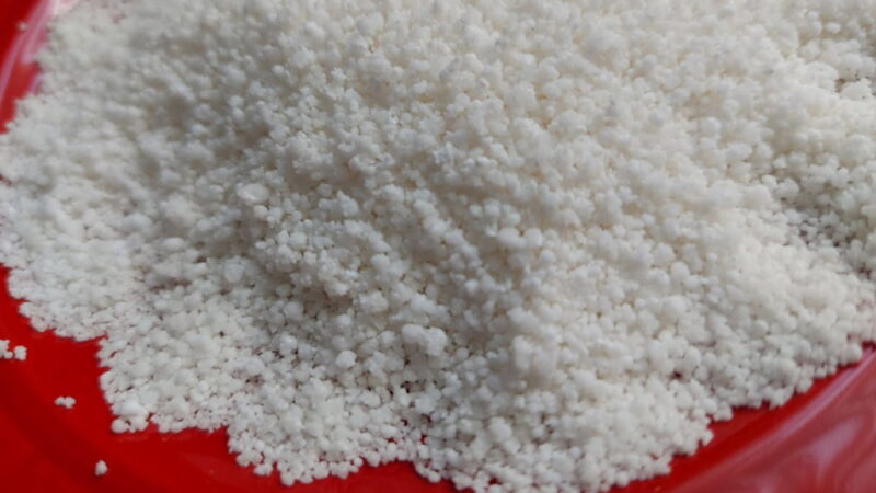 National Tapioca Day - June 28