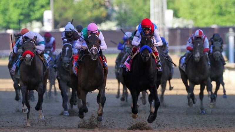 Preakness Stakes - May