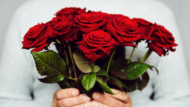 Red Rose Day - June 12
