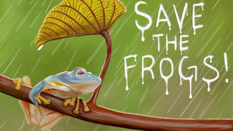 Save the Frogs Day - April