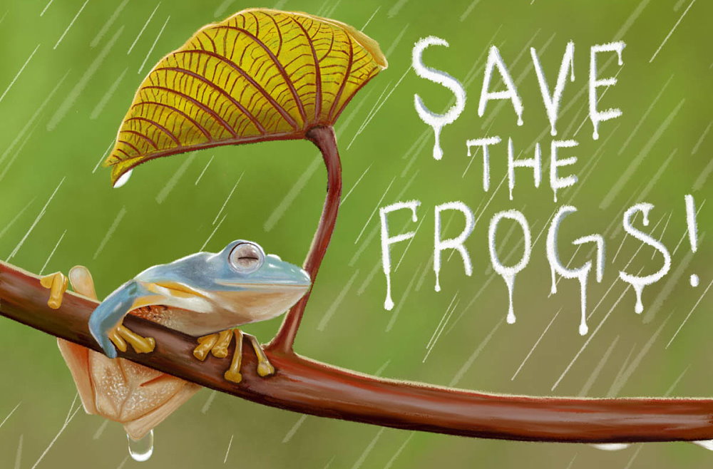 Save the Frogs Day - April