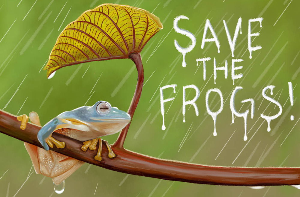 Save The Frogs Day 2024 - Godiva Celestia