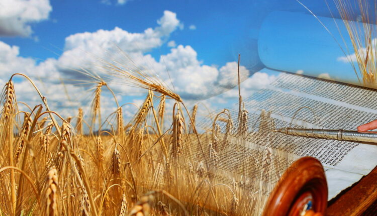 Holiday Shavuot