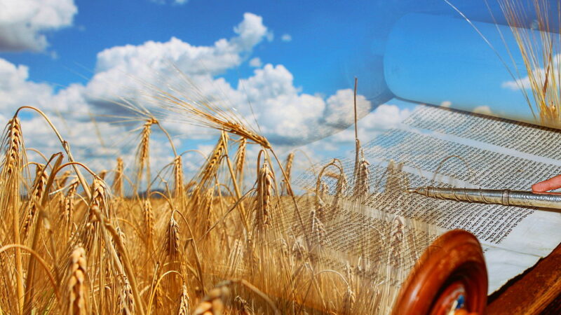 Holiday Shavuot