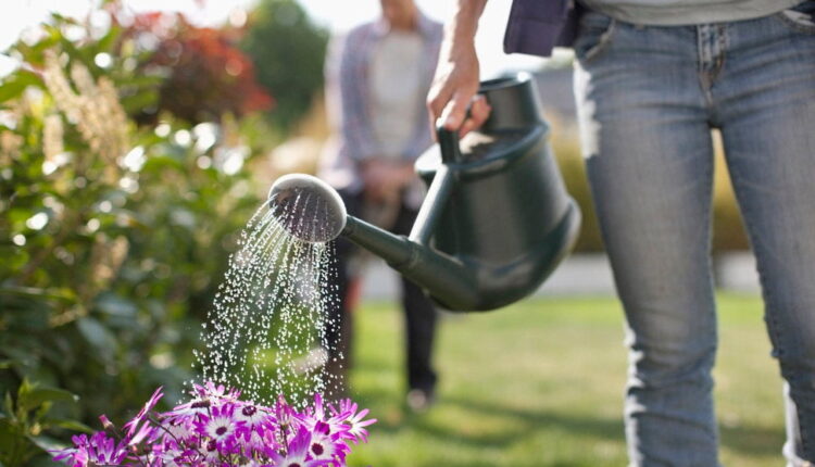 Water a Flower Day - May 30