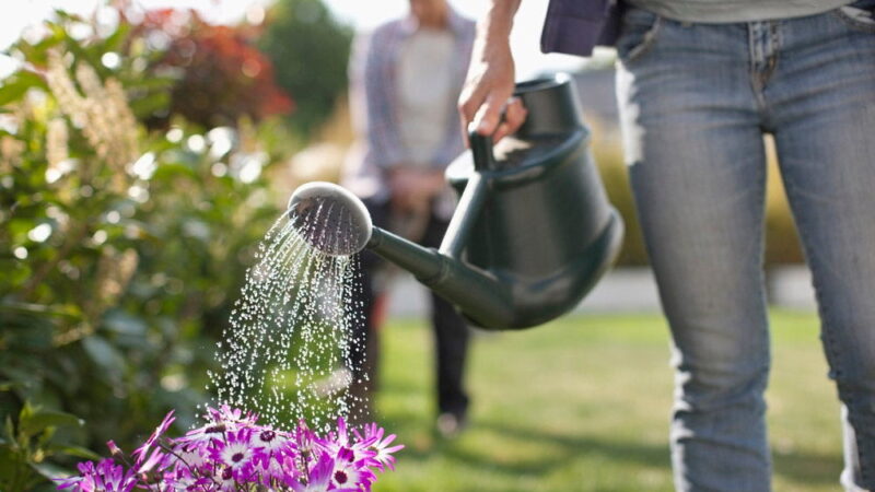 Water a Flower Day - May 30