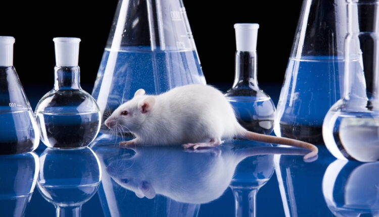 World Day for Laboratory Animals - April 24