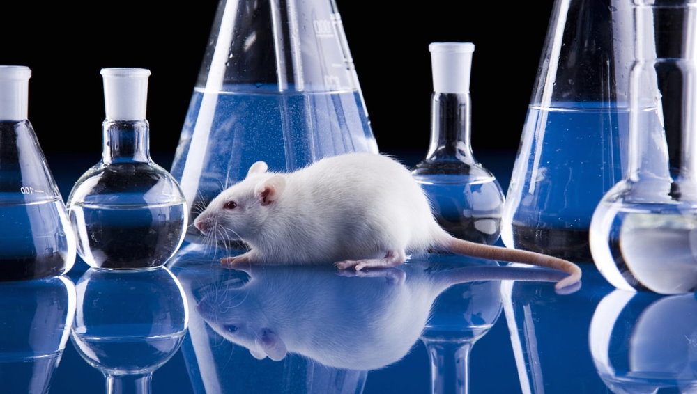 World Day for Laboratory Animals - April 24