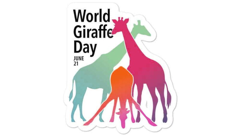 World Giraffe Day - June 21