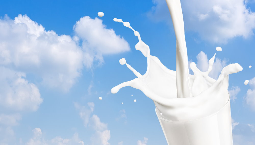 World Milk Day - June 1