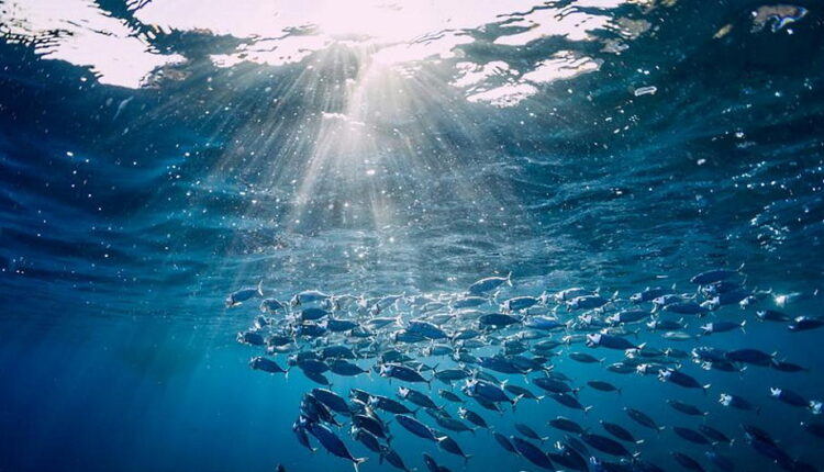 World Oceans Day - June 8
