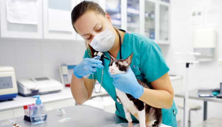 World Veterinary Day - April