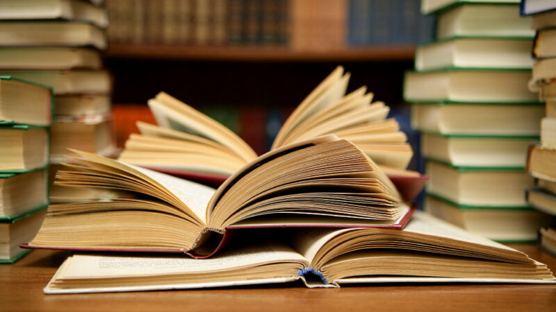 Book Lovers Day - August 9