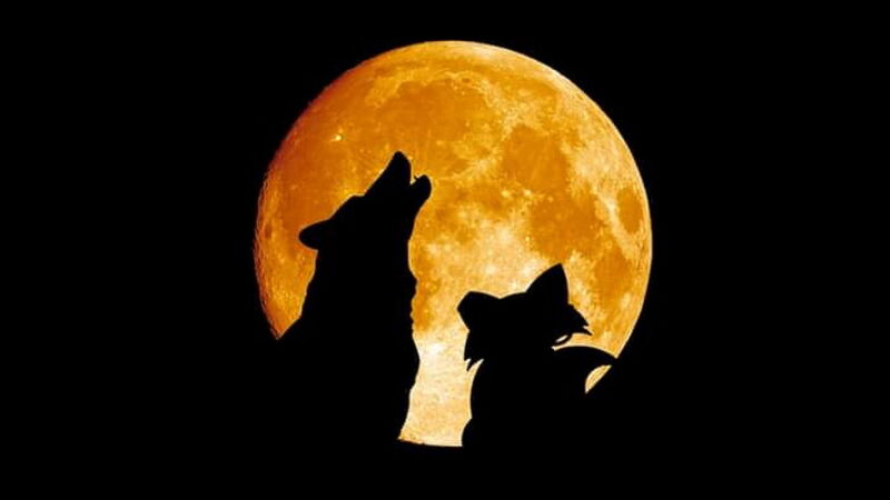 Chant at the Moon Day - August 15