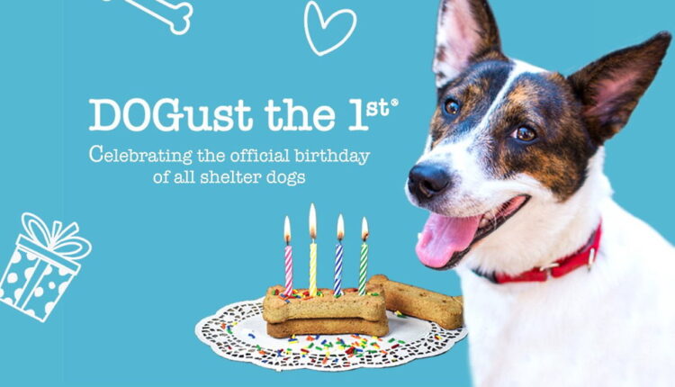 DOGust 1st - August 1