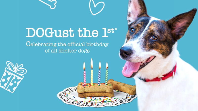DOGust 1st - August 1