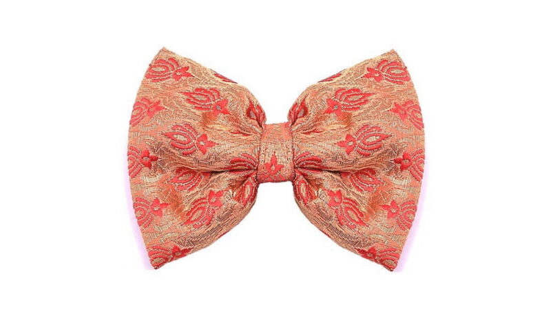 International Bow Day - August 19