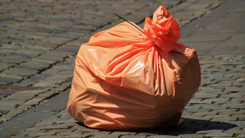 International Plastic Bag Free Day - July 3