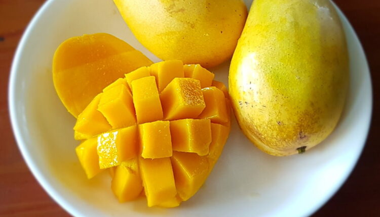 Mango Day - July 22