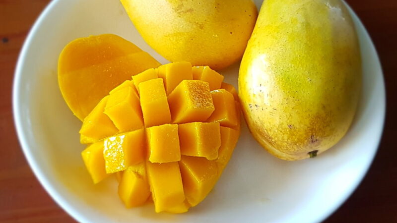 Mango Day - July 22