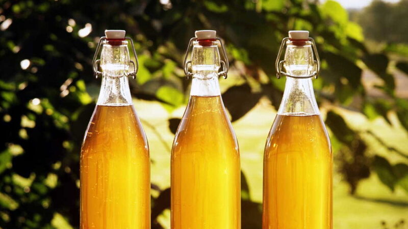 Mead Day - August