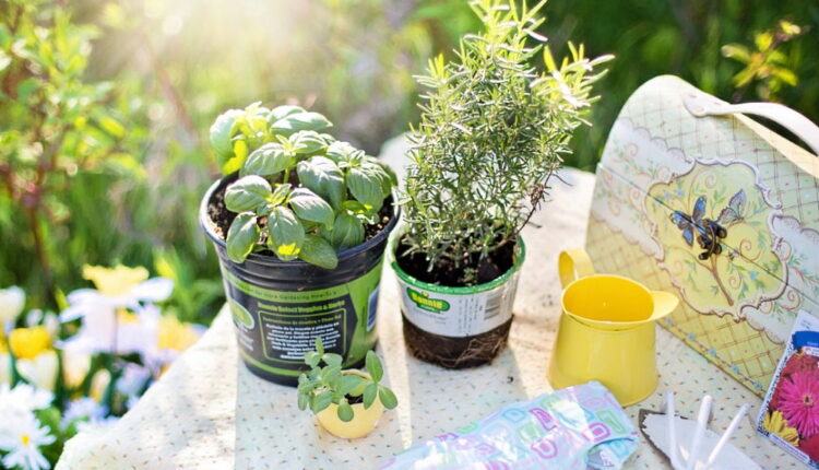 More Herbs, Less Salt Day - August 29