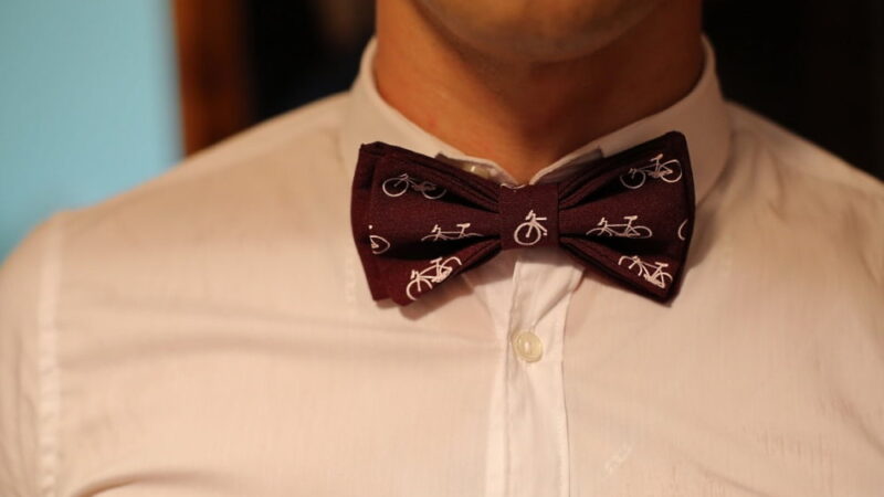 National Bow Tie Day - August 28