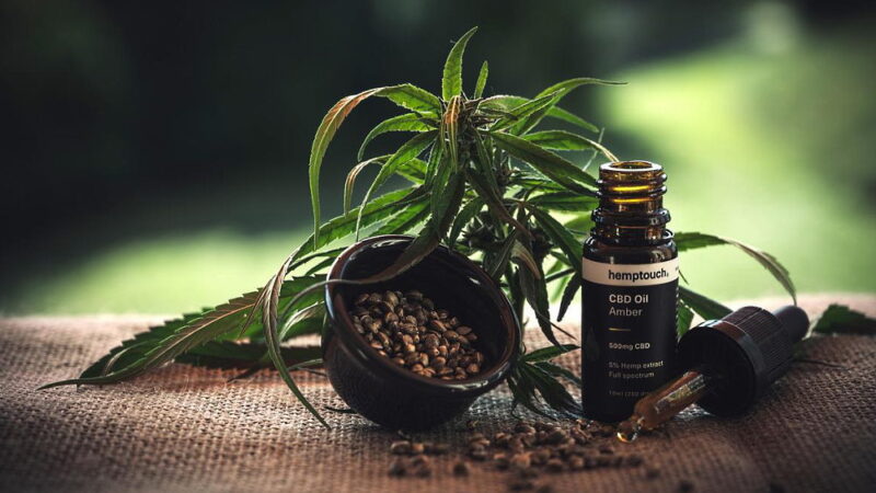 National CBD Day - August 8
