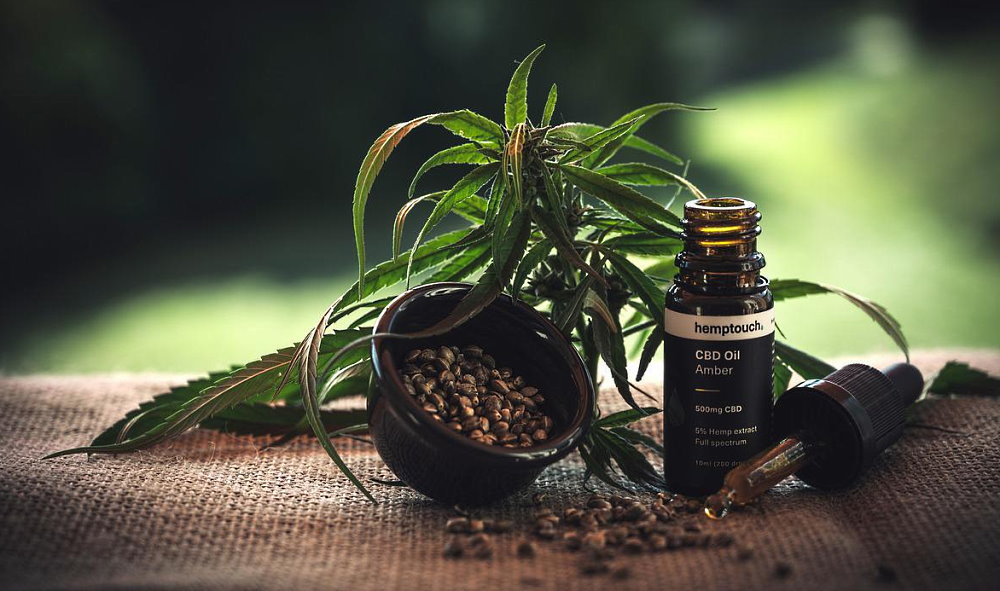 National CBD Day - August 8