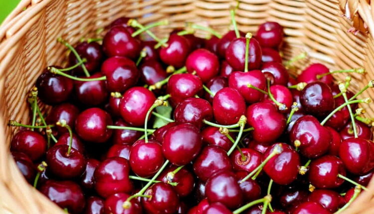 National Cherry Day - July 16