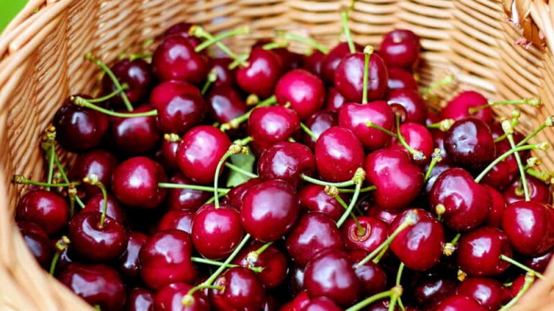 National Cherry Day - July 16