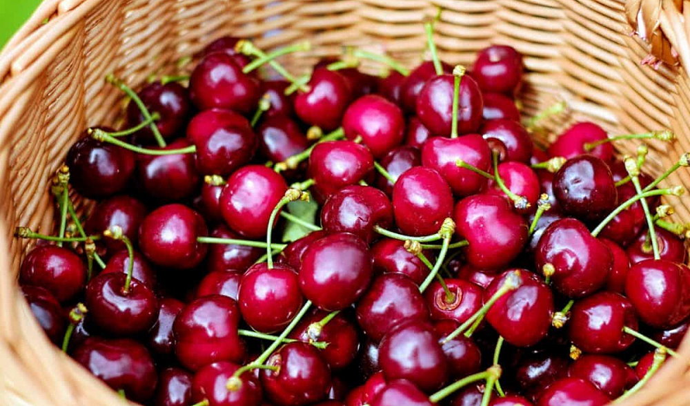 National Cherry Day - July 16