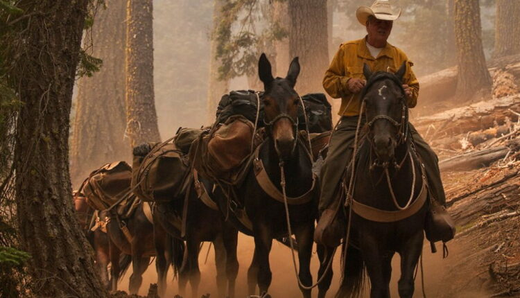 National Day of the Cowboy - July