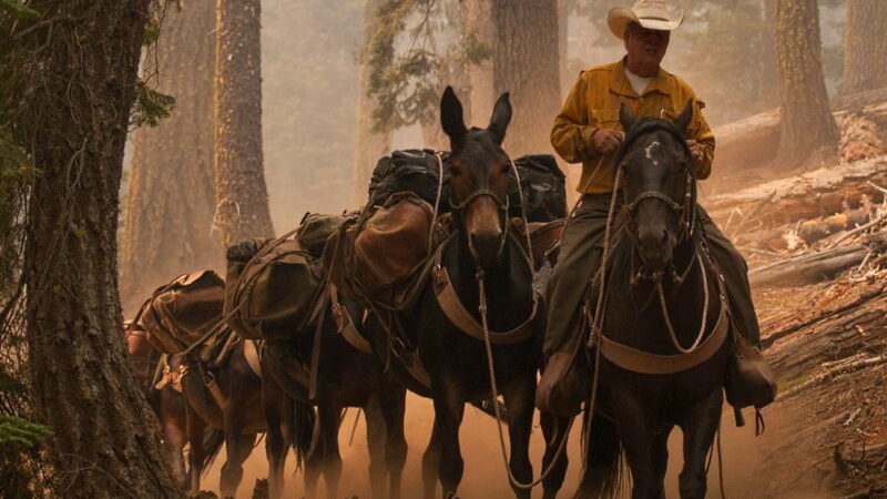 National Day of the Cowboy - July