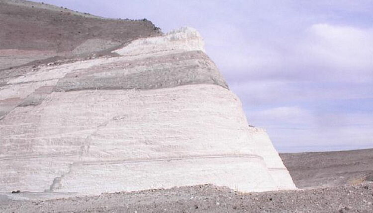 National Diatomaceous Earth Day - August 31