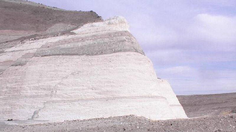National Diatomaceous Earth Day - August 31
