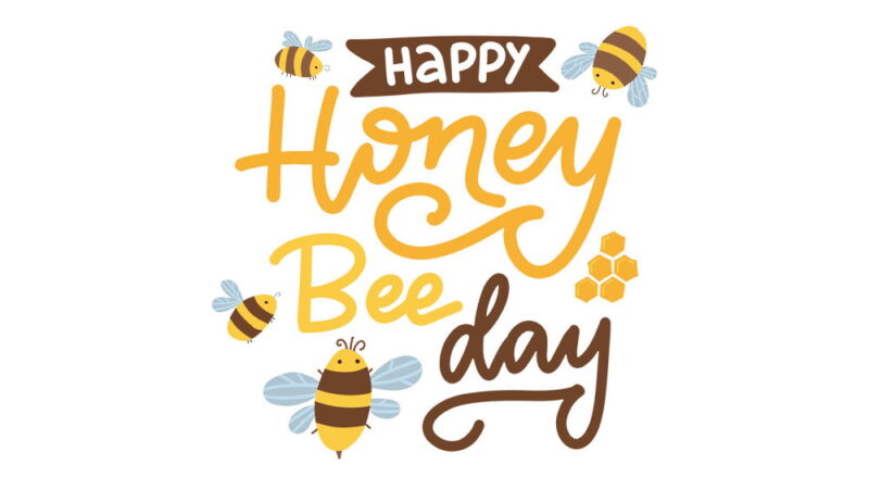 National Honey Bee Day - August