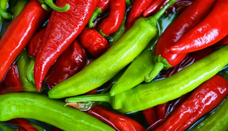 National Hot and Spicy Food Day - August 19