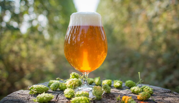 National IPA Day - August