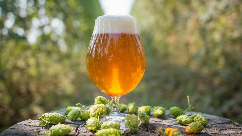 National IPA Day - August