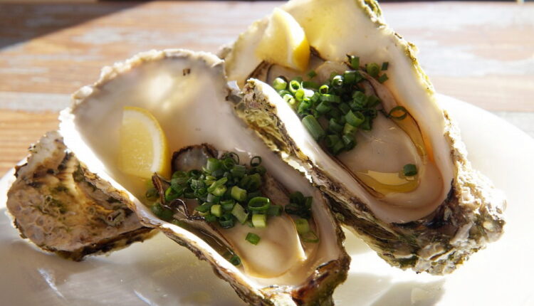 National Oyster Day - August 5