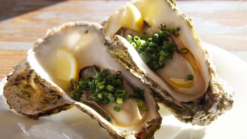 National Oyster Day - August 5
