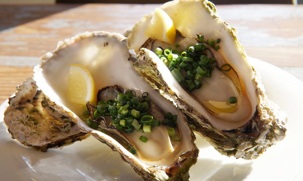 National Oyster Day - August 5